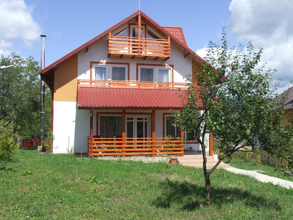 Pensiunea Agroturistica Ioana Brăduleţ Kültér fotó
